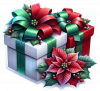 Regalo Navideño 21
