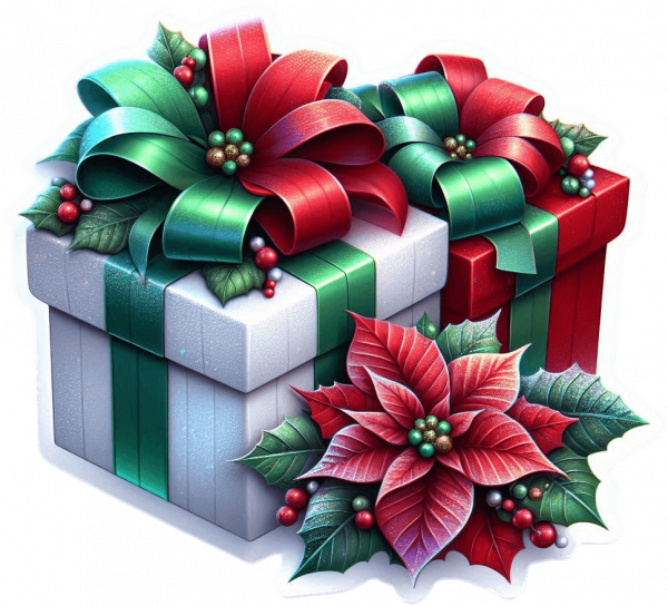 Regalo Navideño 21
