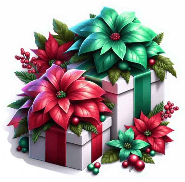 Regalo Navideño 23