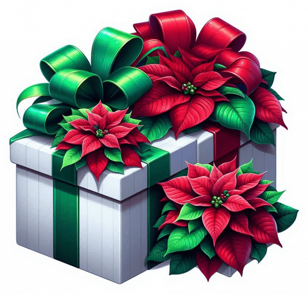 Regalos De Navidad 03