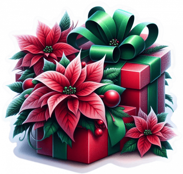 Regalos De Navidad 09