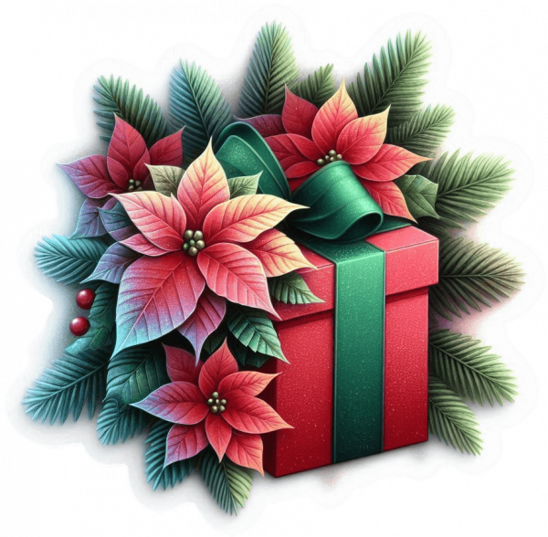 Regalos De Navidad13