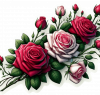 Rosas Blancas Rojas Rosadas 03