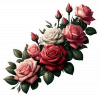 Rosas Blancas Rojas Rosadas 07