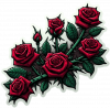 Rosas Rojas 07