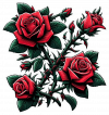 Rosas Rojas 10