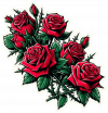 Rosas Rojas 14