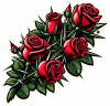 Rosas Rojas 15