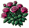 Rosas Rosadas 09