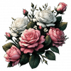 Rosas Rosadas Y Blancas 01