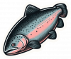 Salmon 02