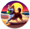 Shiba Inu Jugando En La Playa 03