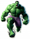 The Hulk 25