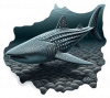 Tiburon Ballena 01