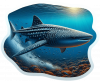 Tiburon Ballena 02