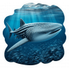 Tiburon Ballena 04