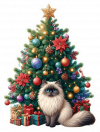 Ragdoll y Arbolito de Navidad 03