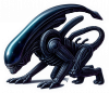 aliens xenomorph Drone 01