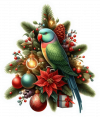 Periquito Cuello Anillado y Arbol de Navidad 01