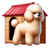 Poodle 01