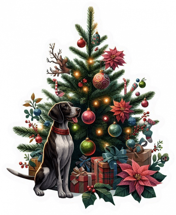 Pointer y Arbolito de Navidad 02