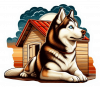 Husky siberiano 04