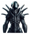 Aliens xenomorph Warrior 01