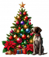Pointer y Arbolito de Navidad 01