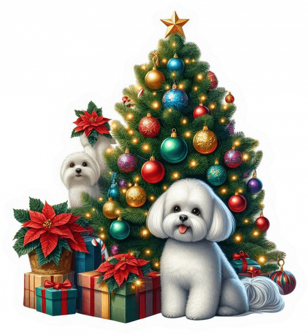Bichón maltés y Arbolito de Navidad 01