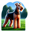 Airedale terrier 02
