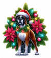 Boxer Navideño 01