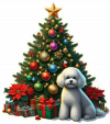 Bichón frisé y Arbolito de Navidad 02