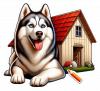 Husky siberiano 03
