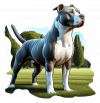 American Staffordshire terrier 02
