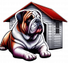 Buldog 01