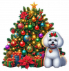 Bichón maltés y Arbolito de Navidad 04