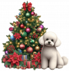 Bichón maltés y Arbolito de Navidad 02