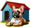 Buldog frances 01