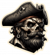 Pirata calavera 04