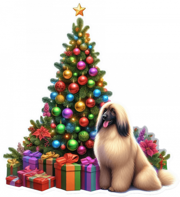 Afgano y Arbolito de Navidad 01