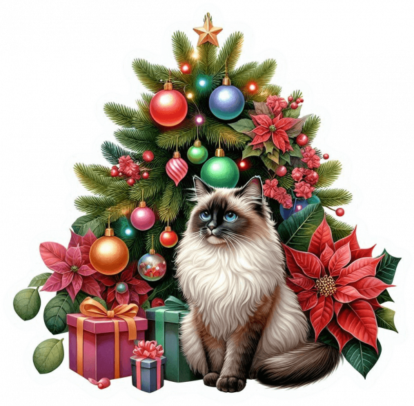 Ragdoll y Arbolito de Navidad 01