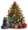 Scottish Fold y Arbolito de Navidad 04