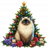 Ragdoll y Arbolito de Navidad 02