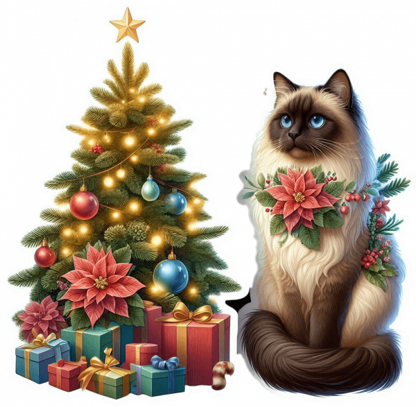 Ragdoll y Arbolito de Navidad 04