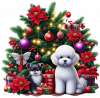 Bichón frisé y Arbolito de Navidad 03