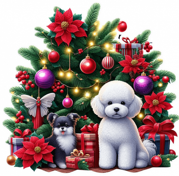 Bichón frisé y Arbolito de Navidad 03