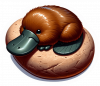 Ornitorrinco 10