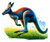 Canguro 07