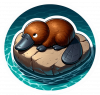 Ornitorrinco 09