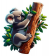 Koala 07